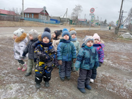 Наблюдение за елью Наблюдение за елью.